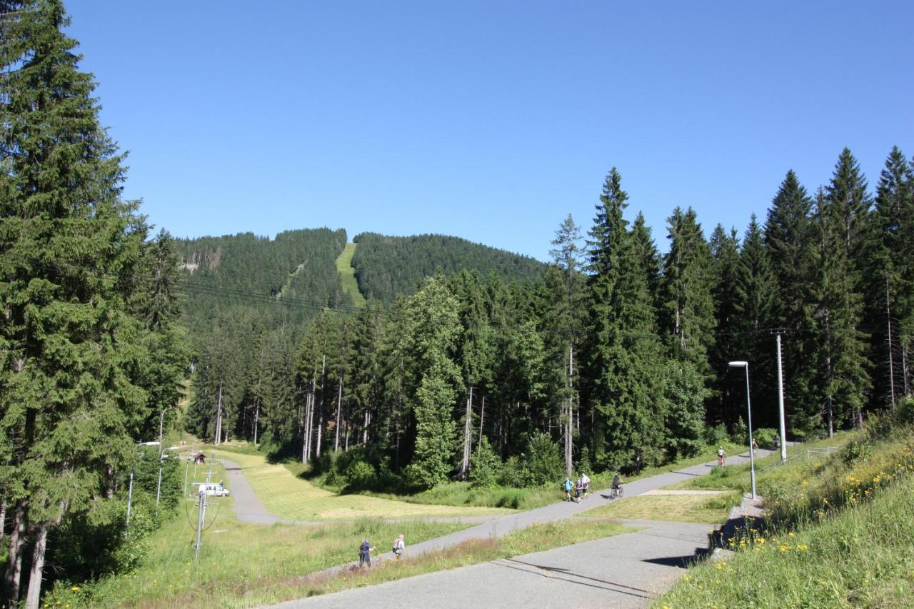 Apartmán Rezidence Šumava Železná Ruda Exteriér fotografie
